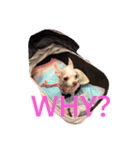 ティファくん（個別スタンプ：10）