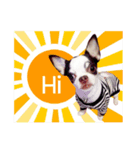 Dek Dek dog（個別スタンプ：1）