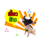 Dek Dek dog（個別スタンプ：3）