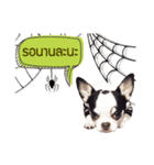 Dek Dek dog（個別スタンプ：5）