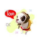 Dek Dek dog（個別スタンプ：6）