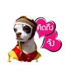 Dek Dek dog（個別スタンプ：8）