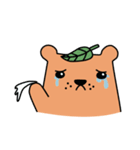 Chuck - The Bear（個別スタンプ：7）