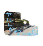 RutoRire（個別スタンプ：14）