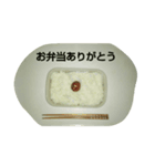 家族一同2（個別スタンプ：2）