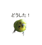 とのひめ（個別スタンプ：2）
