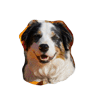 animal funny faces（個別スタンプ：1）