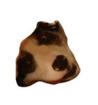 animal funny faces（個別スタンプ：18）