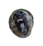 animal funny faces（個別スタンプ：23）