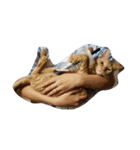 animal funny faces（個別スタンプ：28）