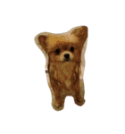 animal funny faces（個別スタンプ：35）