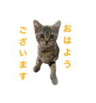 エマとリコ（個別スタンプ：1）