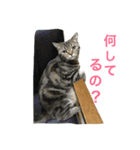 エマとリコ（個別スタンプ：5）