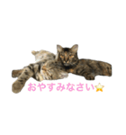 エマとリコ（個別スタンプ：6）