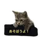 エマとリコ（個別スタンプ：14）