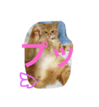chiineco（個別スタンプ：6）