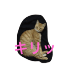 chiineco（個別スタンプ：8）