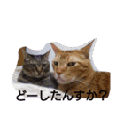 ちこわーぷてつ（個別スタンプ：3）
