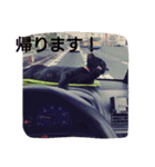 ちこわーぷてつ（個別スタンプ：4）