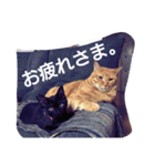 ちこわーぷてつ（個別スタンプ：8）