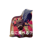 ちこわーぷてつ（個別スタンプ：9）