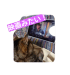 ちこわーぷてつ（個別スタンプ：10）