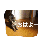 ちこわーぷてつ（個別スタンプ：18）
