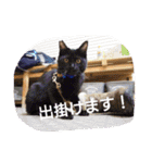 ちこわーぷてつ（個別スタンプ：20）