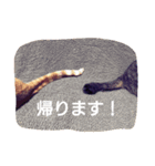 ちこわーぷてつ（個別スタンプ：21）