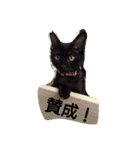 ちこわーぷてつ（個別スタンプ：22）