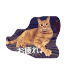 ちこわーぷてつ（個別スタンプ：23）