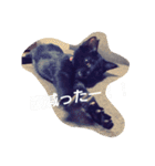 ちこわーぷてつ（個別スタンプ：25）