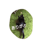 ちこわーぷてつ（個別スタンプ：30）