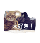 ちこわーぷてつ（個別スタンプ：31）