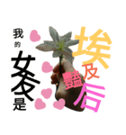 succulent plant（個別スタンプ：1）