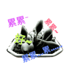 succulent plant（個別スタンプ：4）