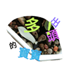 succulent plant（個別スタンプ：6）