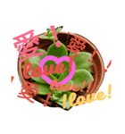 succulent plant（個別スタンプ：7）