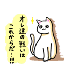 社会人を励ますねこ（個別スタンプ：24）