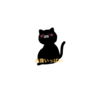黒猫と茶猫だよ（個別スタンプ：6）