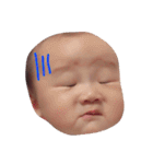 癒しFACE（個別スタンプ：13）