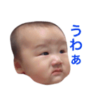 癒しFACE（個別スタンプ：15）