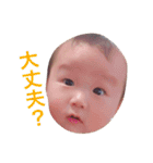 癒しFACE（個別スタンプ：36）