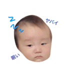 癒しFACE（個別スタンプ：38）