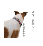 wan-note2（個別スタンプ：5）