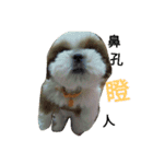 Buddingmuni（個別スタンプ：14）