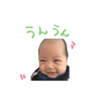 いりゅうさん日常編（個別スタンプ：8）