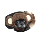mamenosuke1（個別スタンプ：6）
