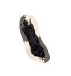 mamenosuke1（個別スタンプ：9）