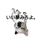 フレブルしじみ（個別スタンプ：2）